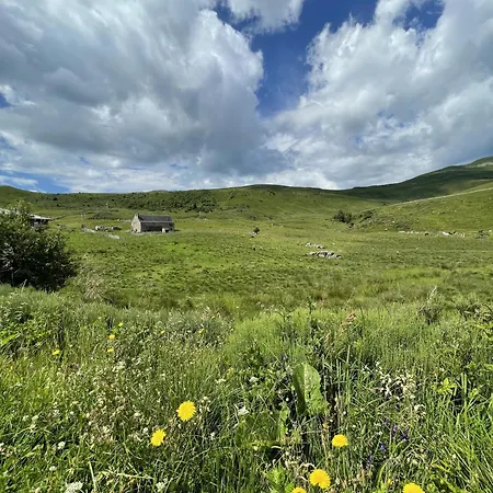 Le Bouc Albepierre-Bredons